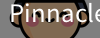 Pinnacle体育官网